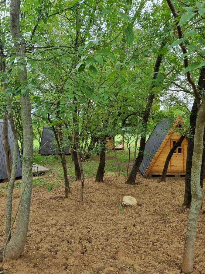 Wolf & Sheep Nature & Adventure Podgorica Luaran gambar