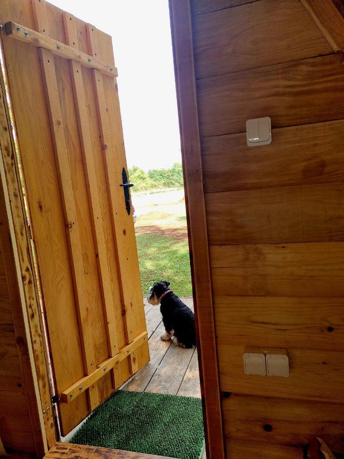 Wolf & Sheep Nature & Adventure Podgorica Luaran gambar