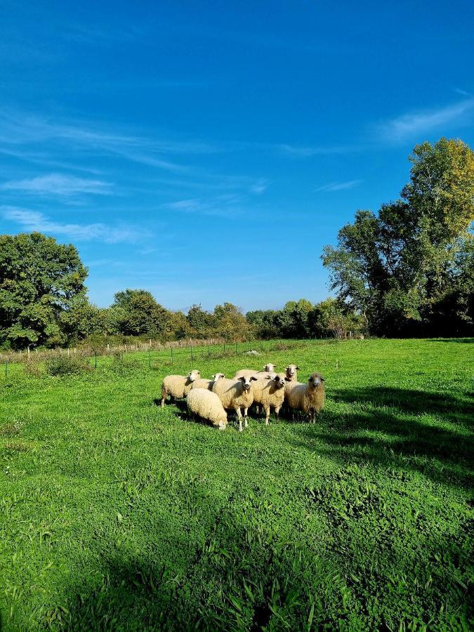 Wolf & Sheep Nature & Adventure Podgorica Luaran gambar